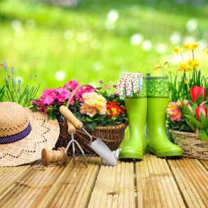 Home, Furniture and Outdoor Garden
