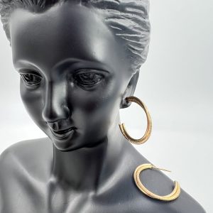 Double hoop earrings