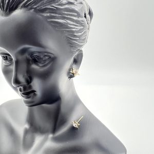 Star shaped stud earrings
