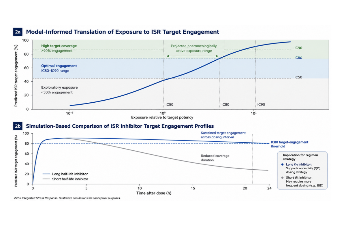 Translational ISR modelling graph showing target engagement thresholds