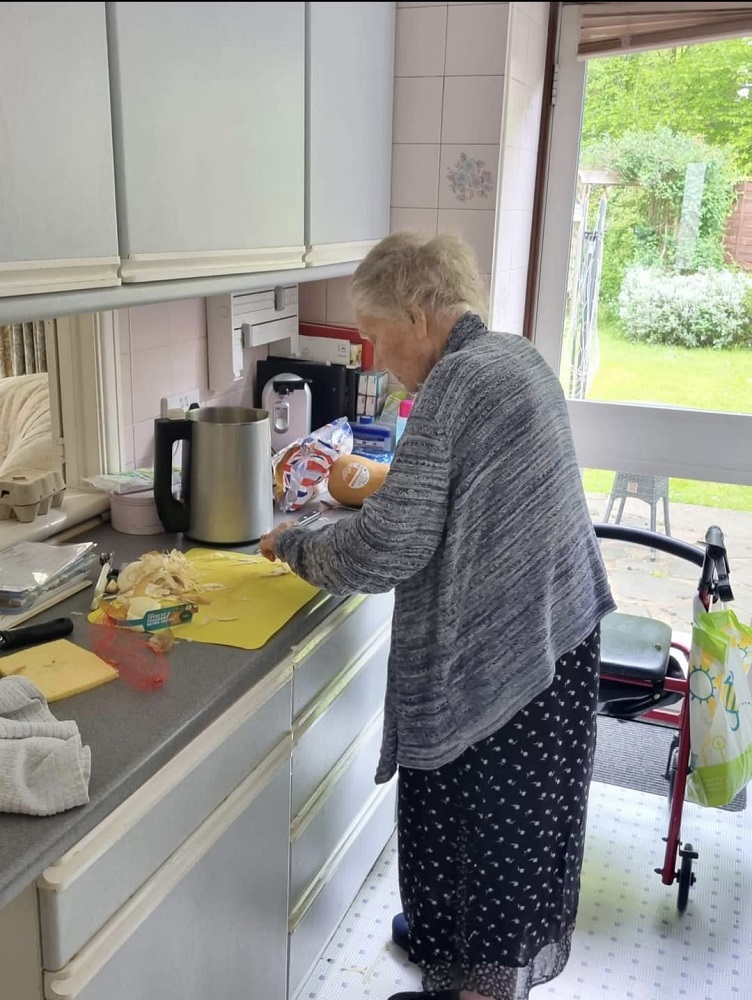 Domestic help
