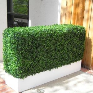 Bespoke Hedges