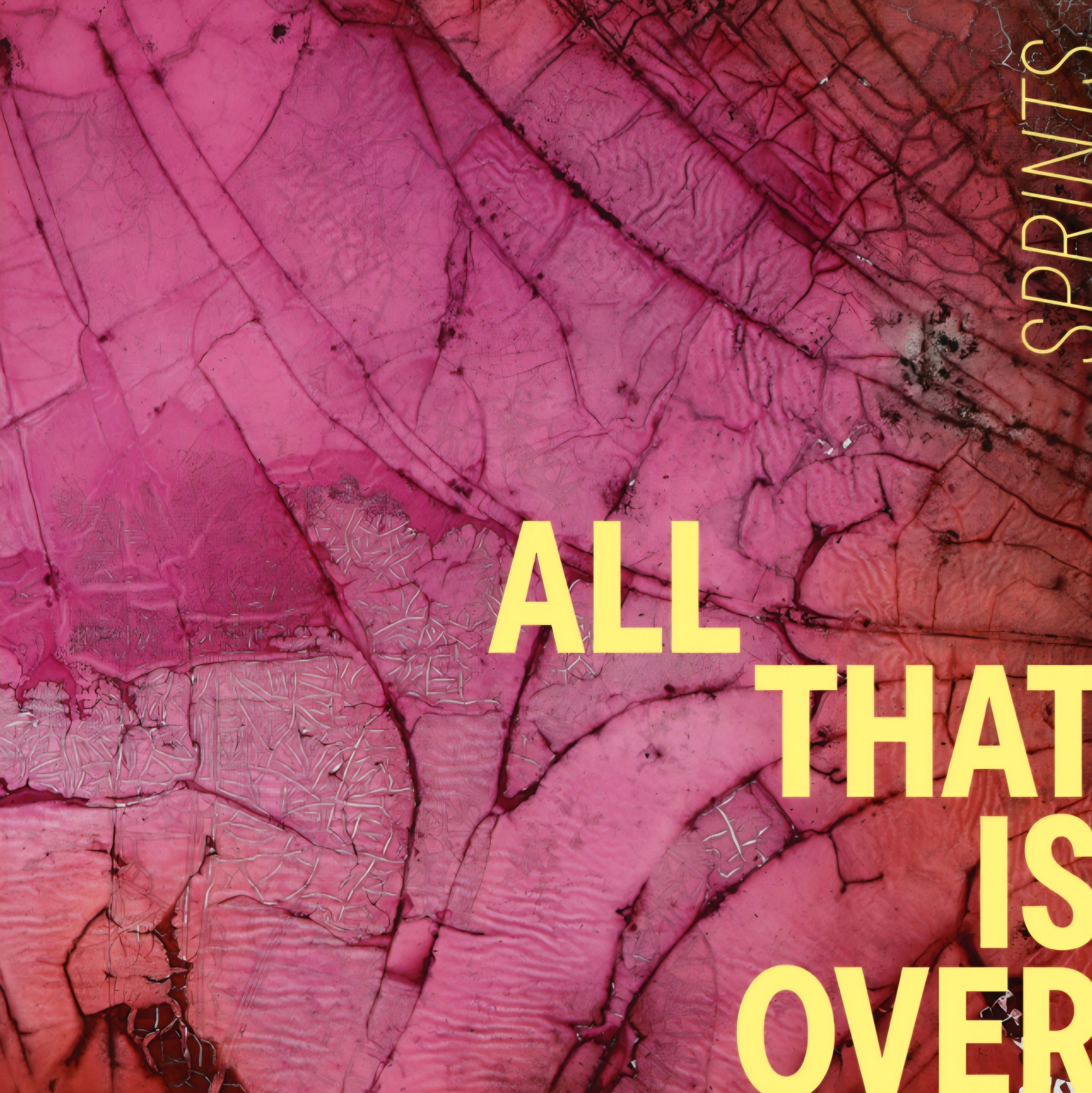 ALBUM Review:  Sprints – All That Is Over (City Slang)