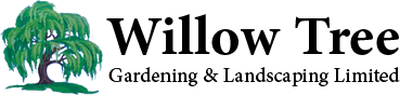 Elevateom